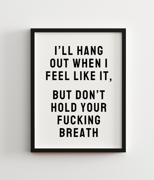 I'll Hang Out When I Feel Like It, But Don't Hold Your Fucking Breath