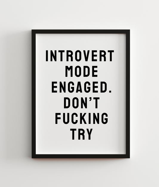 Introvert Mode Engaged. Don't Fucking Try