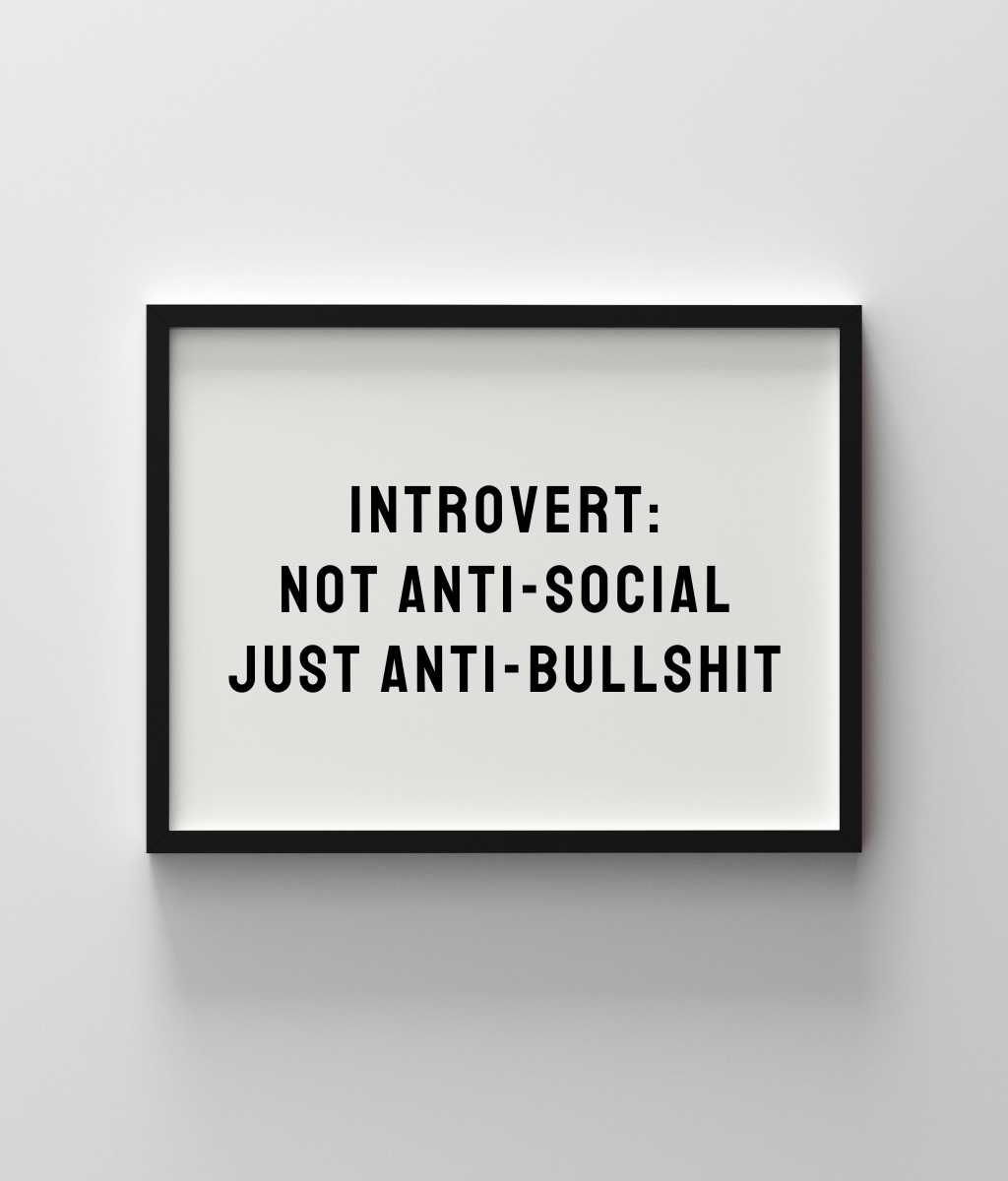 Introvert: Not Anti-social Just Anti-bullshit
