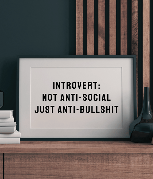 Introvert: Not Anti-social Just Anti-bullshit