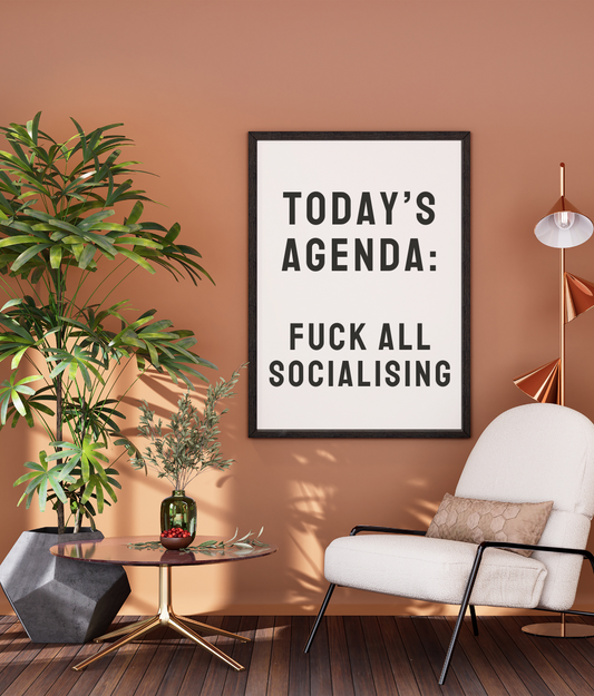 Today's Agenda: Fuck All Socialising